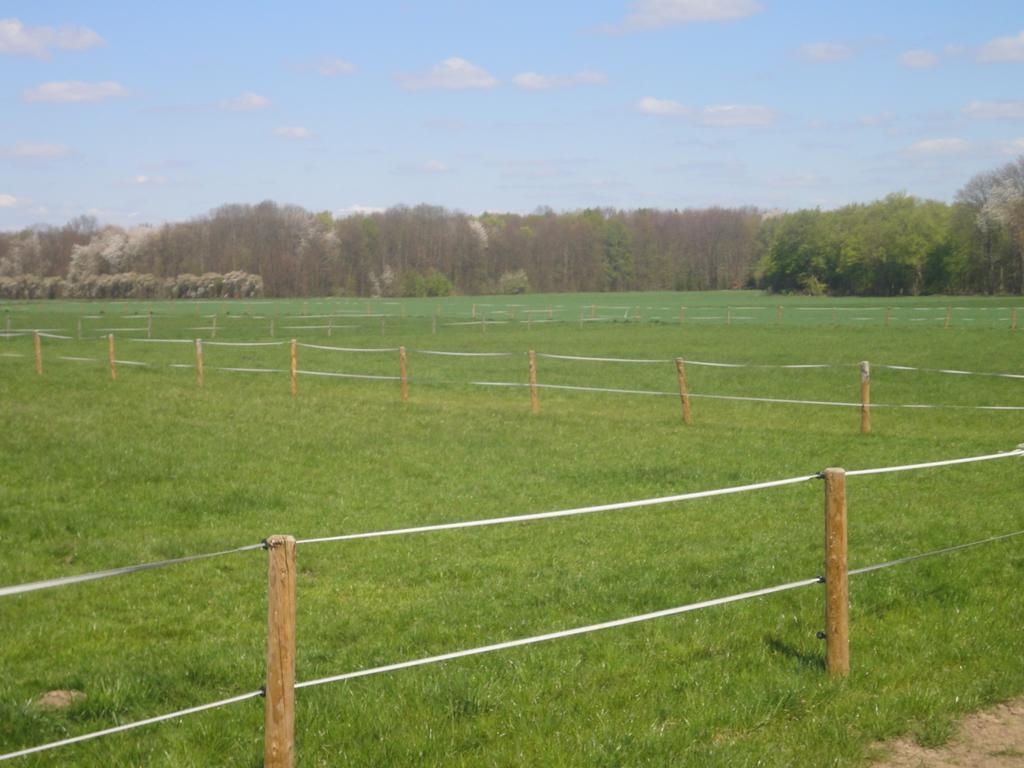 Cologne Country Lodge Стая снимка